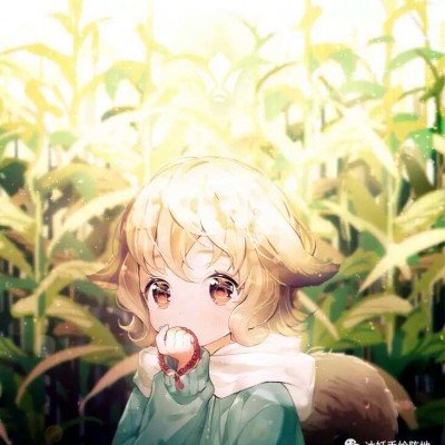 金鹰奖预测
